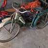 Schwinn Hornet