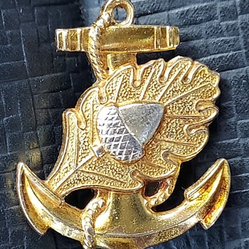 WW2 Navy Nurse Corps insignia - Military and Wartime