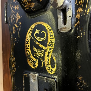 cliftonia hengstenberg 