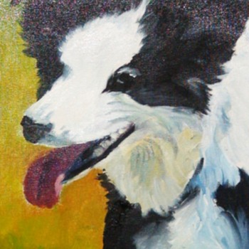 Painting of Border Collie "Birch" by Cora Larson - Animals