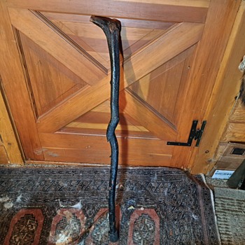 Cane Walking Stick - Accessories