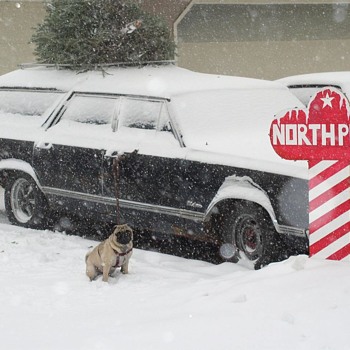 1964 Oldsmobile f85 station wagon VISTA CRUISER and Little Dog Too...    MERRY CHRISTMAS - Christmas
