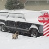 1964 Oldsmobile f85 station wagon VISTA CRUISER and Little Dog Too...    MERRY CHRISTMAS