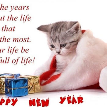 Happy New Year to All ****** !! - Photographs
