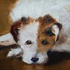 Oil Painting on Canvas of a Dog Named "Punch" 1927 Signed by E. Cotterill