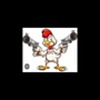 BigRooster616